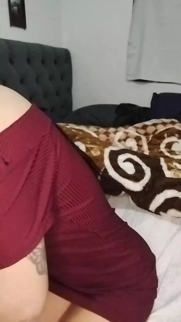 Offline Gatasiamesa_ on Cam4