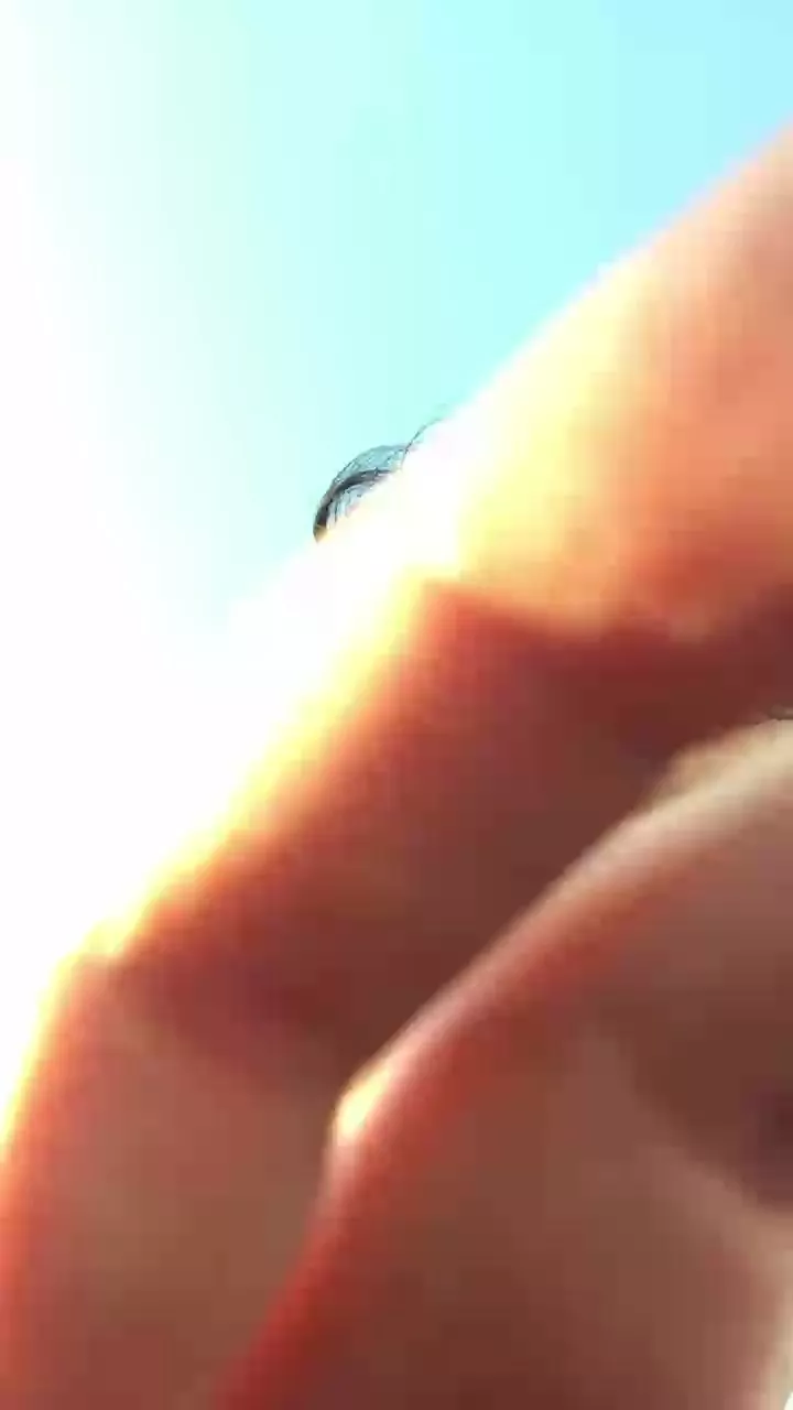 Offline gualas on Cam4