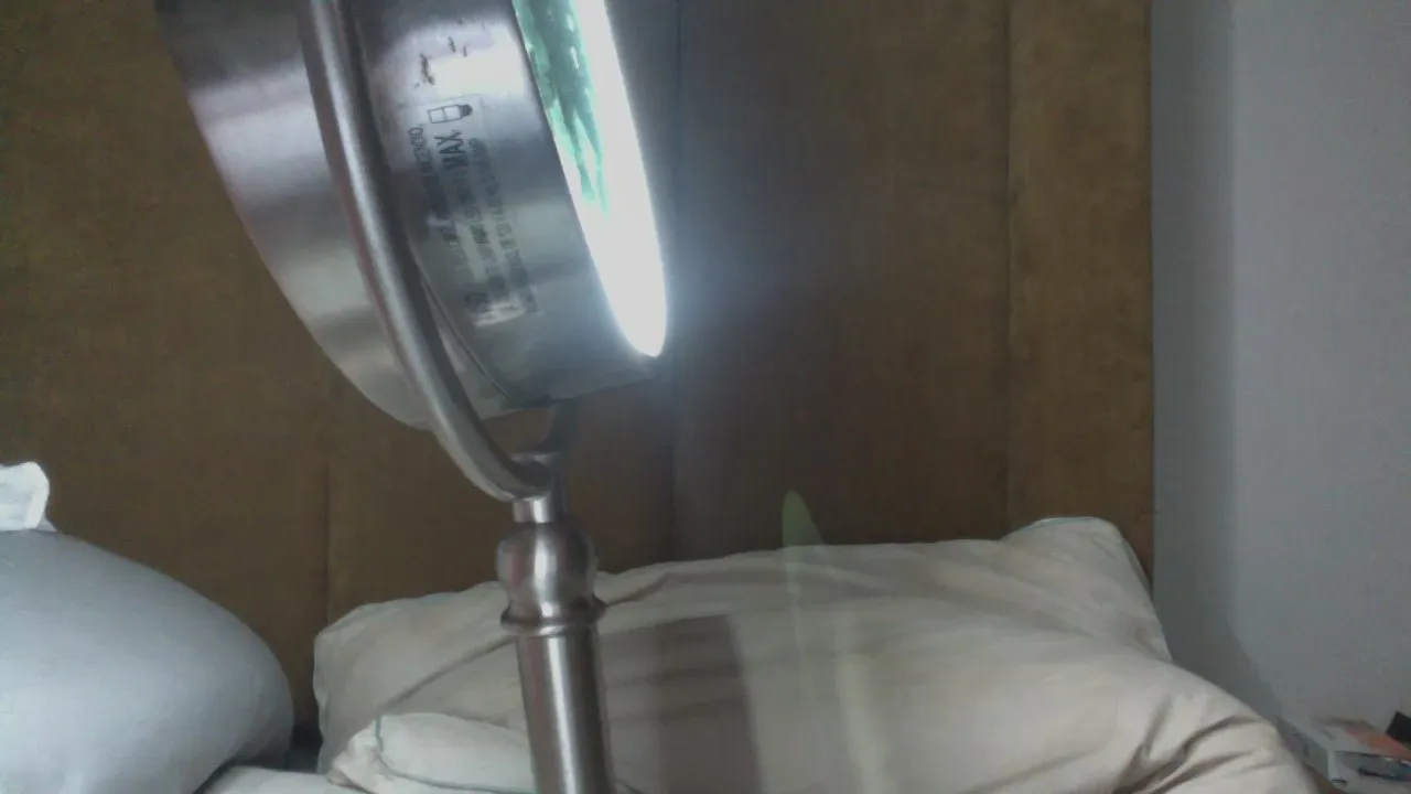 Offline Karmakore2 on Cam4