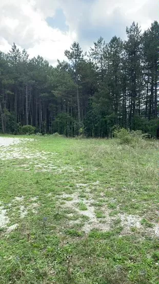 Offline lucapublic on Cam4