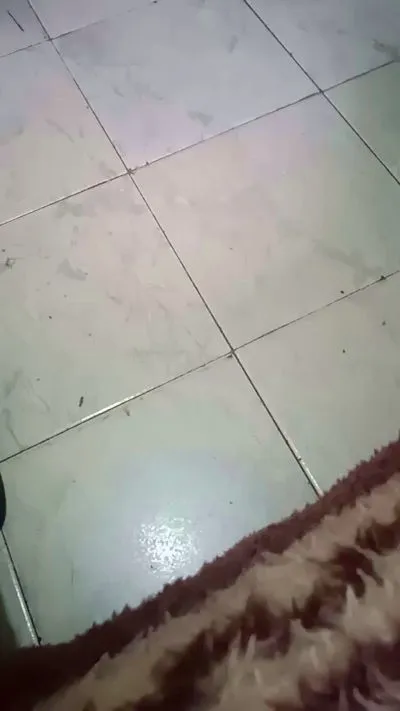 luiz1919 — Freechat on Cam4