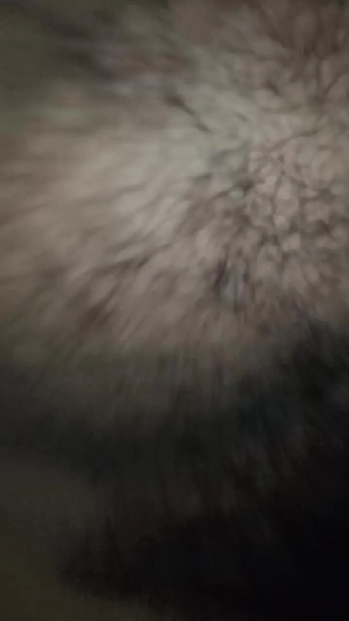 Offline MONSTER777DADDY on Cam4