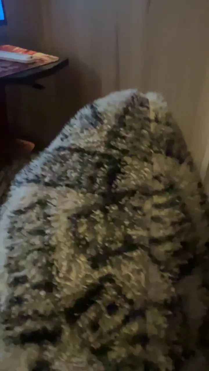 Offline otakugirlxxx on Cam4