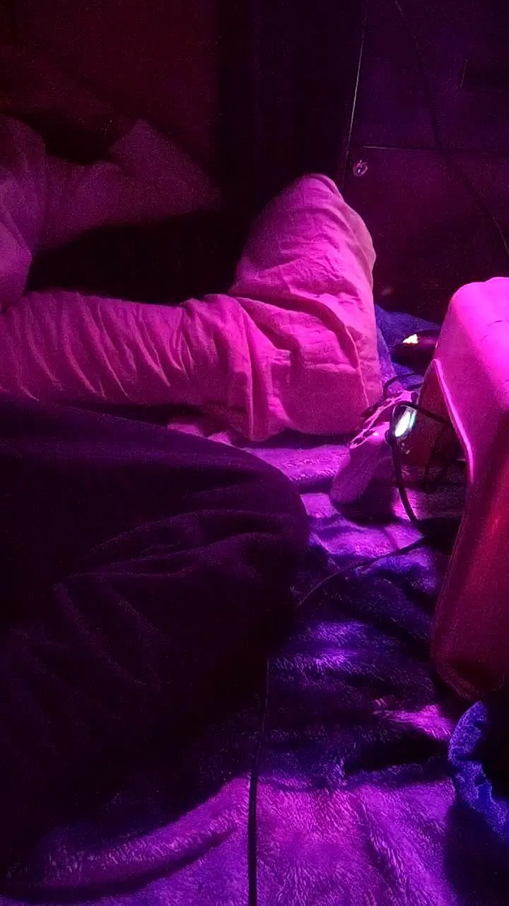 Freechat physicssexpert on Cam4