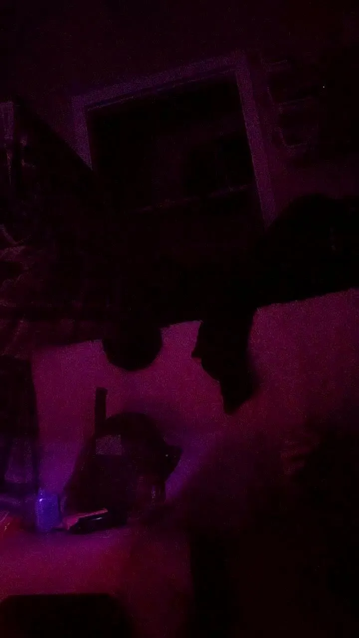 Freechat physicssexpert on Cam4