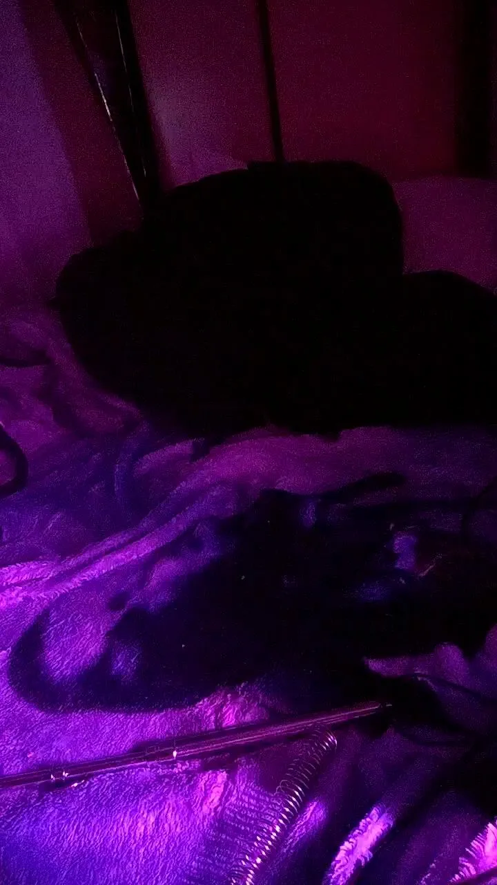 Freechat physicssexpert on Cam4