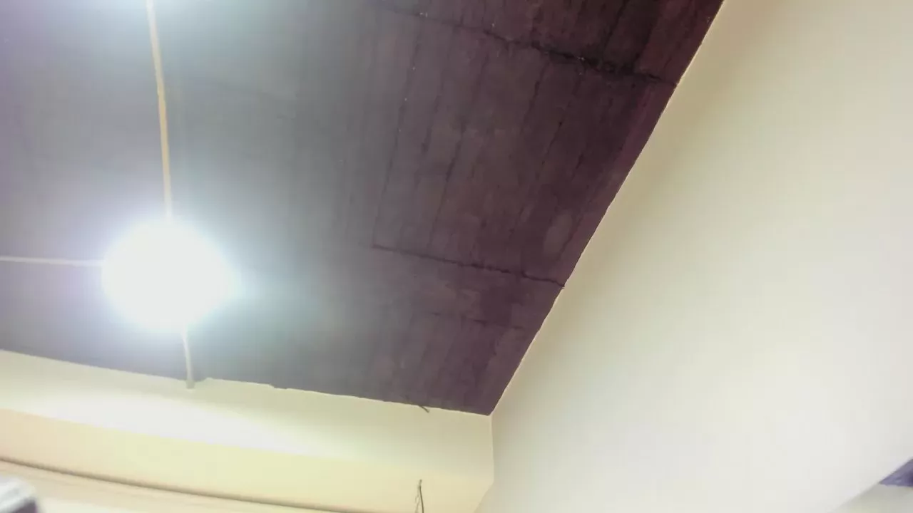 Offline rubyrouge_ on Cam4