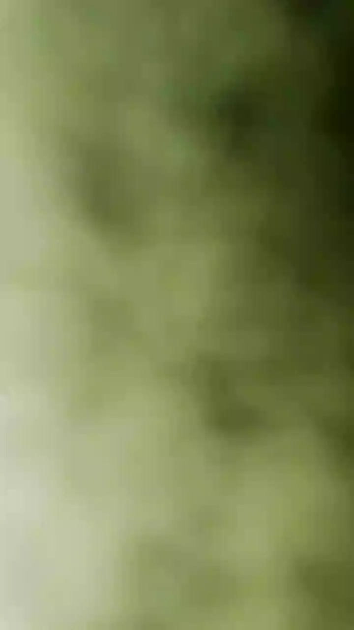 Offline Tumorvosa on Cam4