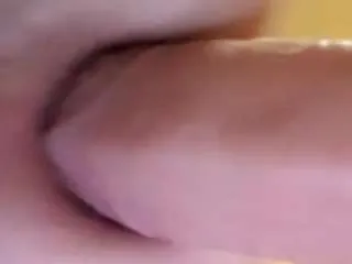 ckimpckimp on CamSoda