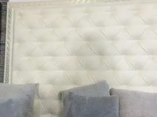 Offline vanessa-rose on CamSoda