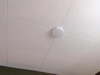 Offline paul_cambel on Flirt4Free