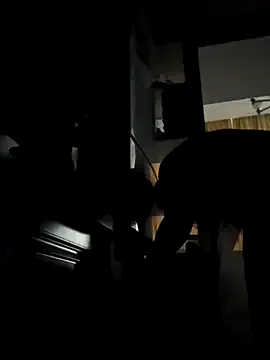 cgooh-611 on StripChat 