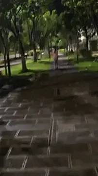 Freechat cute-maomao on StripChat