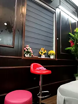 Group zizi_public on StripChat